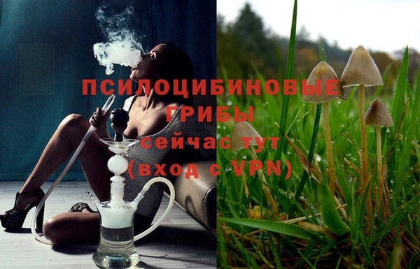 крисы Абинск