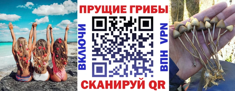 omg ссылка Шимановск Галлюциногенные грибы MAGIC MUSHROOMS купить закладку